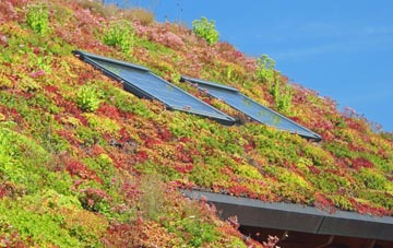 Rafford living roof systems